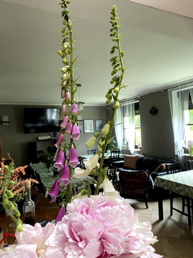 Bed & Breakfast Dom Supelek