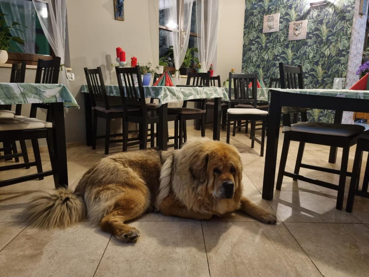 Bed & Breakfast Dom Supelek Duszniki Zdrój